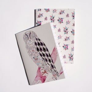 2-mini-notebooks-lined-owl