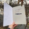 A Very Rough Guide To Birds Book - Image 2