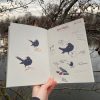 A Very Rough Guide To Birds Book - Image 5