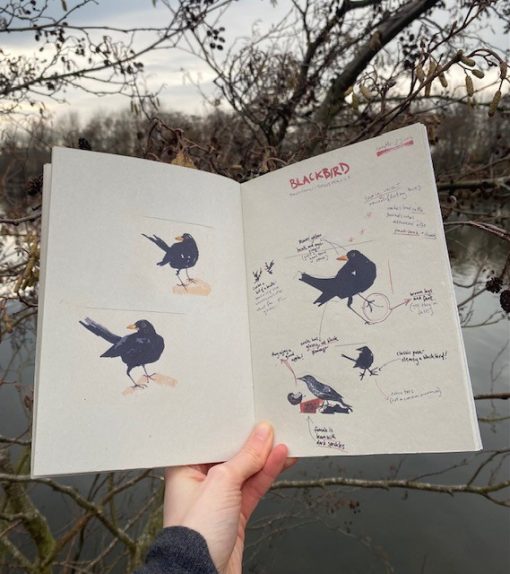 A Very Rough Guide To Birds Book - Image 5