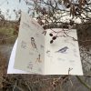 A Very Rough Guide To Birds Book - Image 4