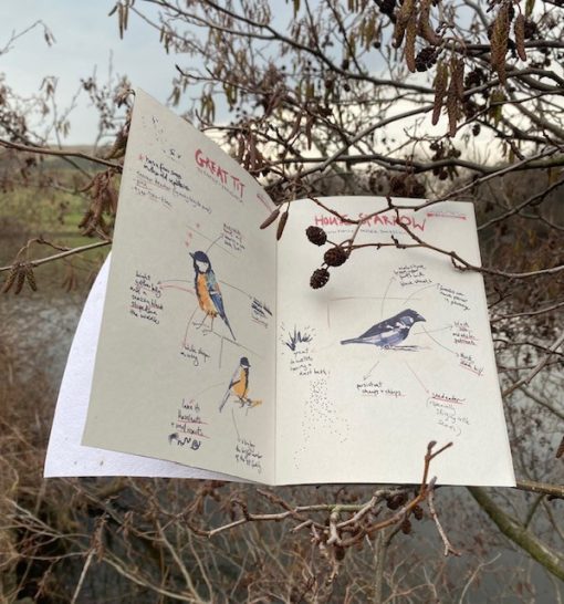 A Very Rough Guide To Birds Book - Image 4