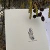 A Very Rough Guide To Birds Book - Image 3