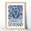 Flower of Scotland A4 print