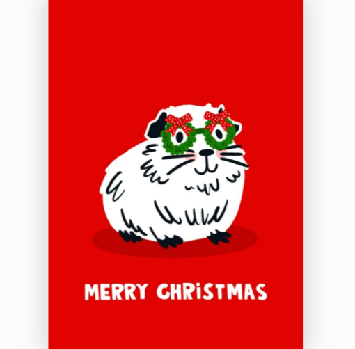 Merry Christmas Guinea Pig Card