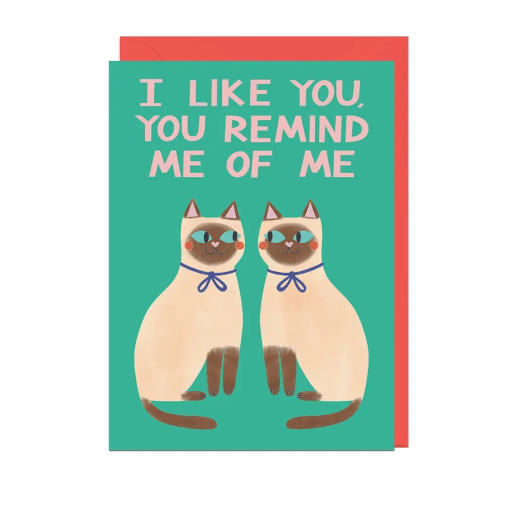 I Like You Cat Partner Card