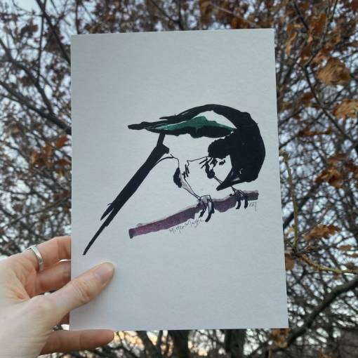 Mister Magpie A5 print