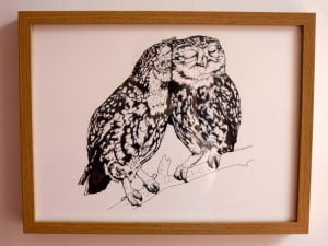 Little Owl Love Framed