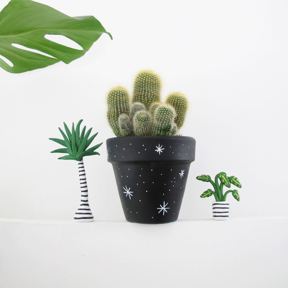 Cacti-Things are getting Prickly! | The Red Door Gallery